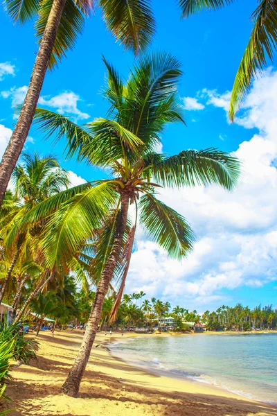 La migliore spiaggia dei Caraibi — Foto Stock