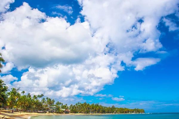 Spiaggia caraibica con cielo blu — Foto Stock