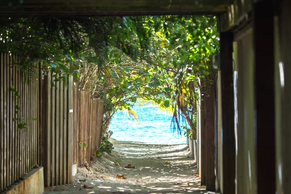 The way to the tropical beach — Stock Photo, Image
