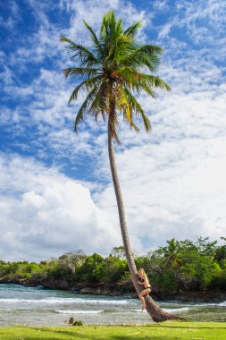 genç kız bir palmiye ağacı sarılma