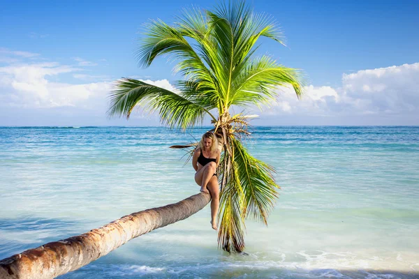 Девушка на пальме — стоковое фото