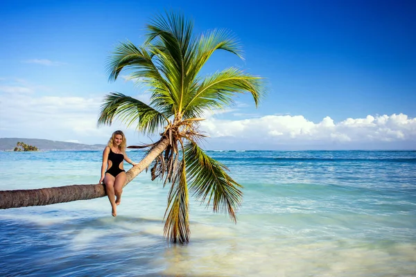 Chica en la palmera —  Fotos de Stock