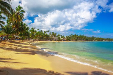 Şaşırtıcı Caribbean beach