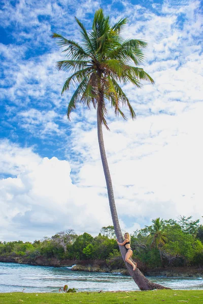 Young girl hugging a palm tree — Stock Photo, Image