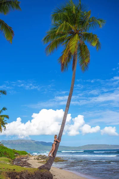 Молодая девушка обнимает пальму — стоковое фото