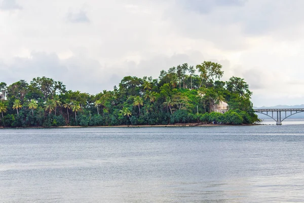 Ostrov s palmami — Stock fotografie