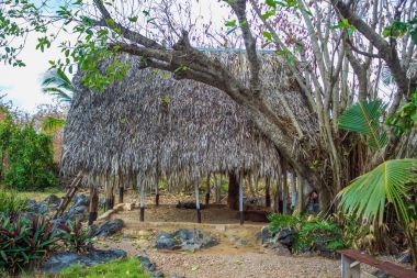 Bure thatched çatı ile