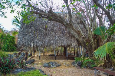 Bure thatched çatı ile