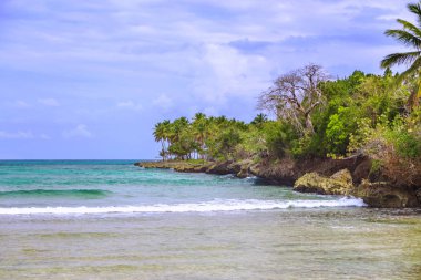 Vahşi tropikal kıyı.
