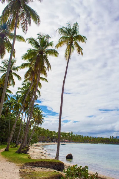 Praia tropical ladscape — Fotografia de Stock