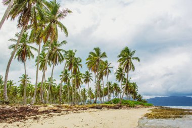 Tropikal plaj ve gri gökyüzü