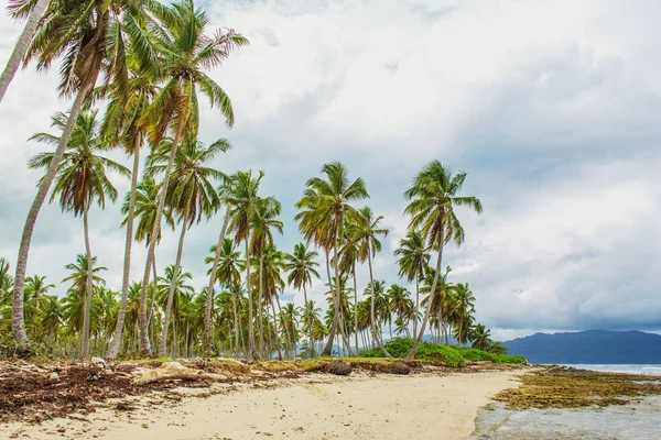 Tropikal plaj ve gri gökyüzü