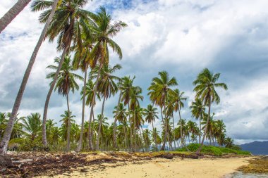 Tropikal plaj ve gri gökyüzü