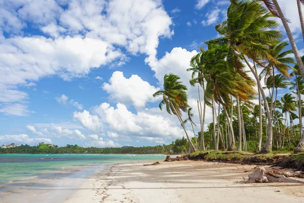 Úžasné pláže Karibiku — Stock fotografie