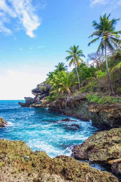 Vadon élő trópusi sziklás part, öböl, lagúna. — Stock Fotó
