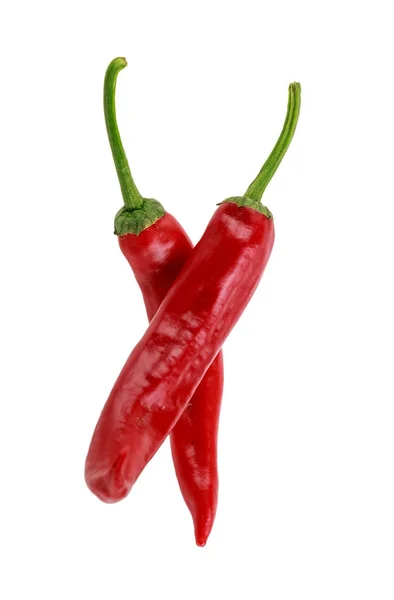 Two hot red chili peppers — Stock Photo, Image