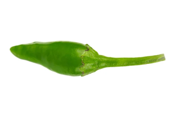 One green chili pepper on white background — Stock Photo, Image