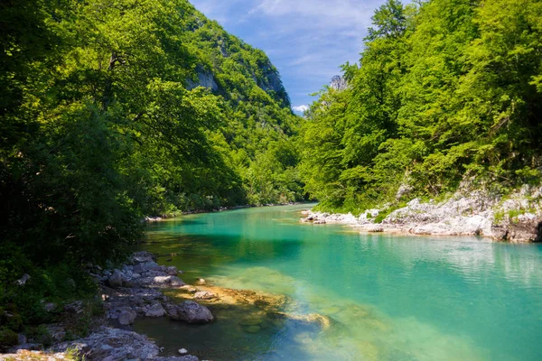 Mountain river with crystal clear water among the green mountains — Stock Photo, Image