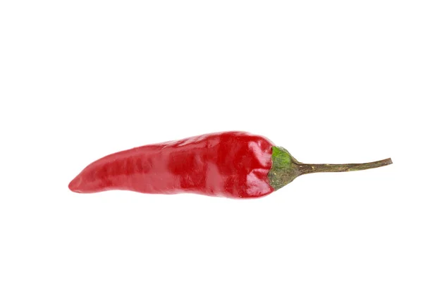 Un chile rojo caliente horizontal aislado sobre fondo blanco — Foto de Stock