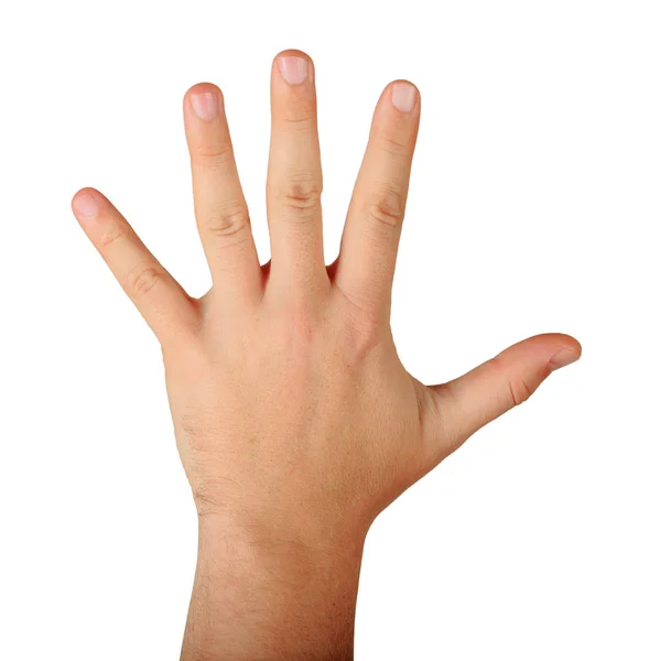 Male hand with five fingers — Stock Photo, Image