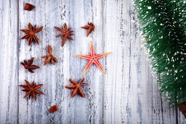 Ladin Noel tasarım kırmızı deniz yıldız Şubesi 