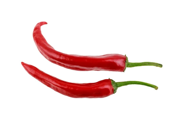 Two red hot glossy chili peppers — Stock Photo, Image