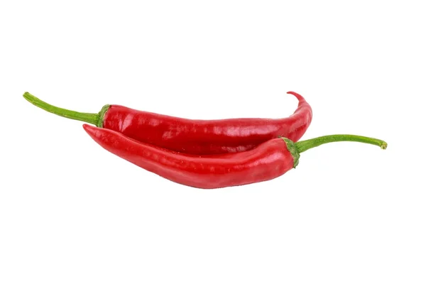 Two red hot glossy chili peppers — Stock Photo, Image