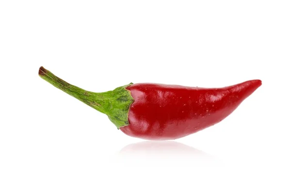 Un chile picante rojo maduro picante — Foto de Stock