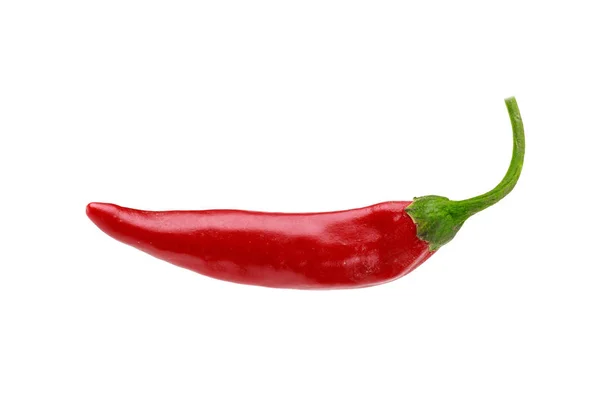 One ripe red hot spicy chili pepper — Stock Photo, Image