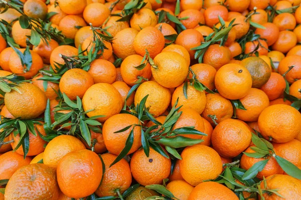 Montão de tangerinas doces maduras — Fotografia de Stock