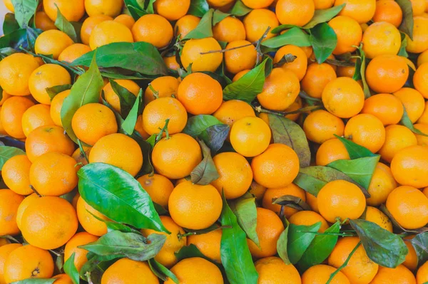 Heap of ripe juicy sweet tangerines with green leaves — Stock Photo, Image