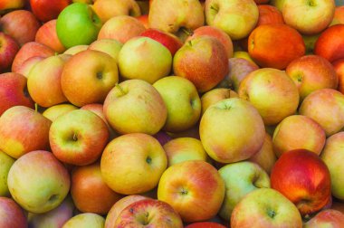 Apple arka plan, olgun lezzetli doğal kırmızı sarı elmalar