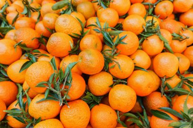 Olgun tatlı mandalina yeşil yaprakları ile yığını