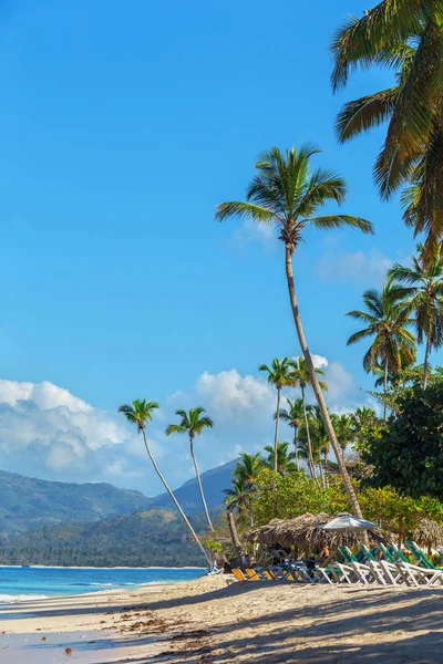 Perfetta spiaggia di sabbia caraibica vuota con acqua limpida e palme verdi — Foto Stock