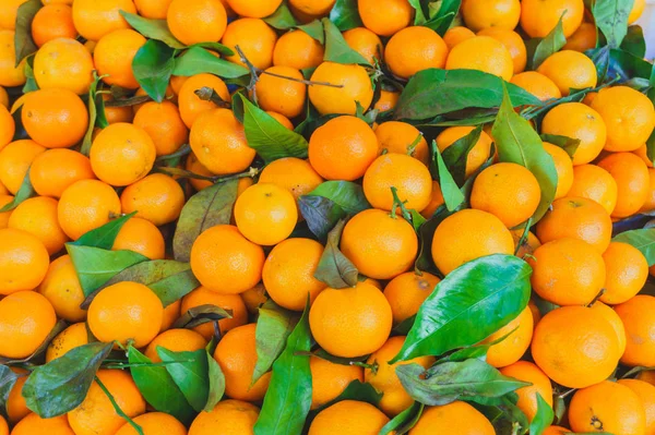 Heap of ripe sweet tangerines with green leaves — Stock Photo, Image