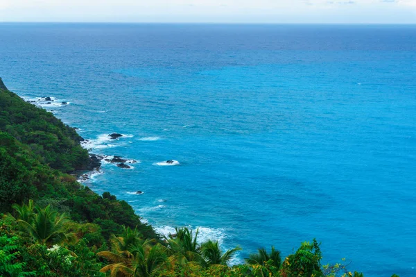 Paysage sauvage naturel admirable avec des montagnes rocheuses envahi arbre dense jungle verte, palmier et eau azur clair de l'océan de mer — Photo