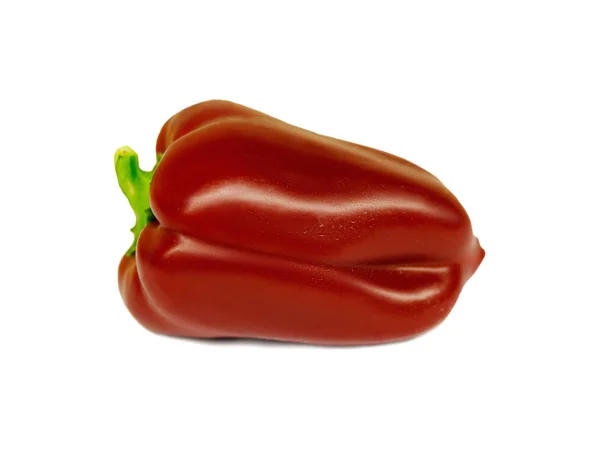 Bulgaro pepe rosso isolato su sfondo bianco — Foto Stock