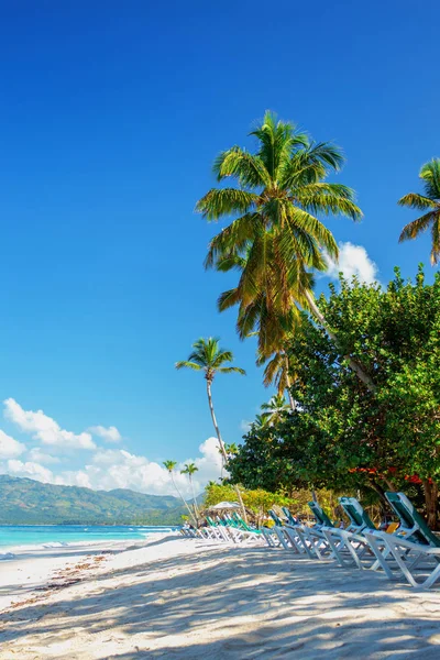 Perfetta spiaggia di sabbia caraibica vuota con acqua limpida e palme verdi — Foto Stock