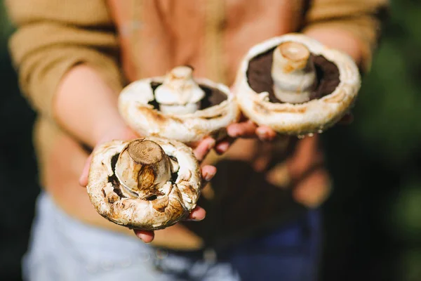 Tyttö pitää tuoreita mehukkaita valkoisia sieniä — kuvapankkivalokuva