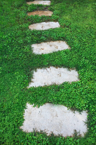 a stone path lies among the green grass
