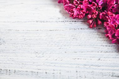 ahşap bir zemin üzerine yeşil