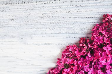 ahşap bir zemin üzerine yeşil