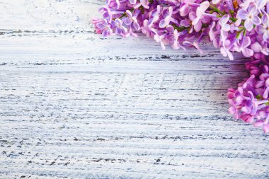 ahşap bir zemin üzerine yeşil