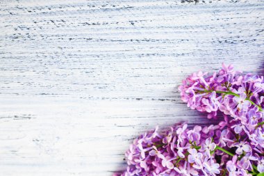 ahşap bir zemin üzerine yeşil