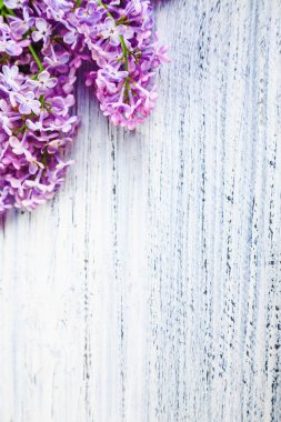 ahşap bir zemin üzerine yeşil