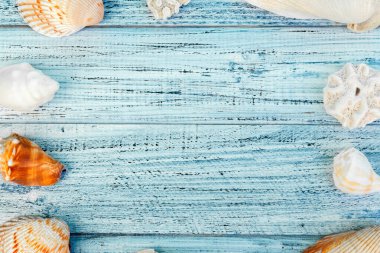 Yaz tatili geçmişi, ahşap tahtada deniz kabukları çerçevesi