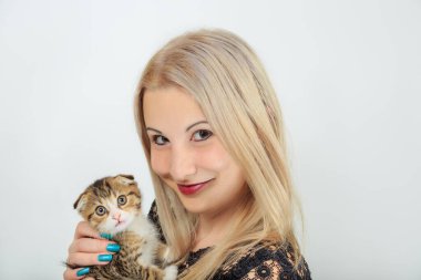 İskoç kedicik bakımı, genç kadın hayvan sever küçük kedi yavrusu.