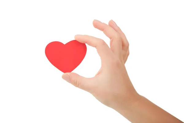 Main Tenant Petit Coeur Rouge Vif Sur Fond Blanc Jeune Exploitation Stock Photo