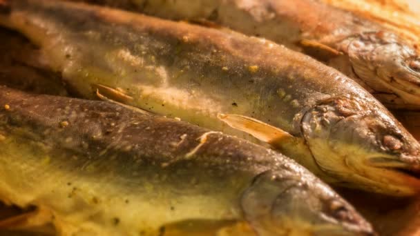 Izgara balık pişirme — Stok video