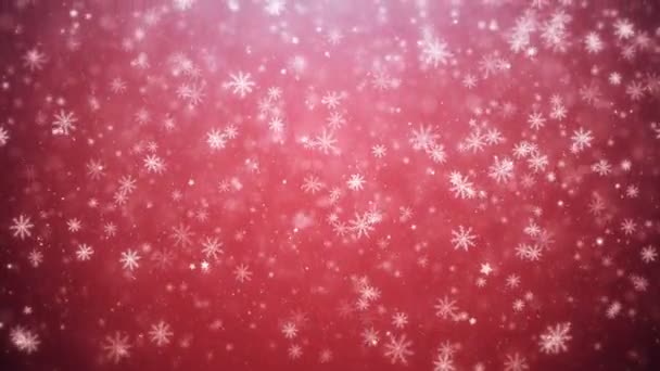 Flocos de neve e estrelas em queda — Vídeo de Stock